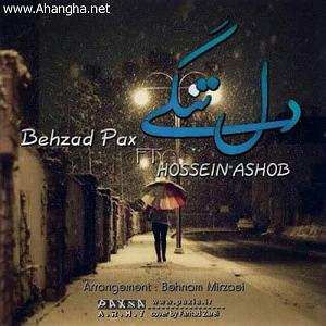 بهزاد پکس
