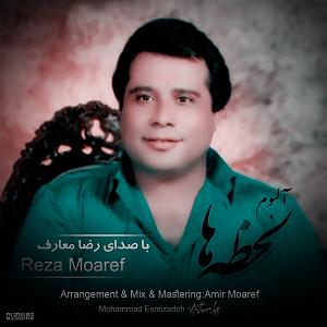 رضا معارف