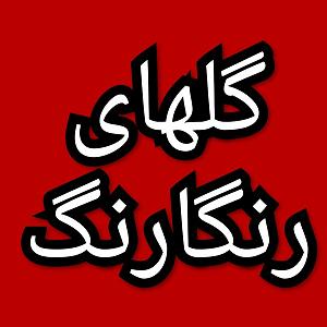 57 برنامه بستنی داغ  توکل در دنیای امروزی گلهای رنگارنگ برنامه شماره ۵۷۵