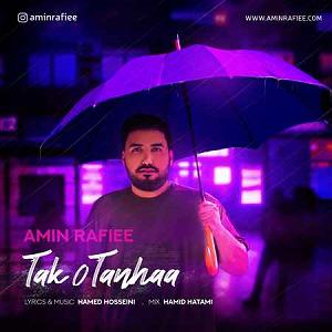 امین رفیعی تاکو تنها