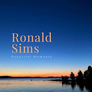 آلبوم موسیقی فولکلور یونانی Discover the Beautiful Bouzouki البوم موسیقی بی کلام beautiful moments پیانو ارامش بخش از ronald sims