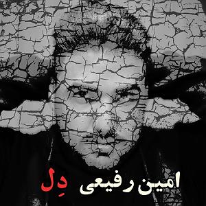 امین رفیعی دل