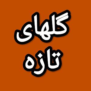 48 برنامه بستنی داغ  زندگی بدون الگو گلهای تازه برنامه شماره ۴۸