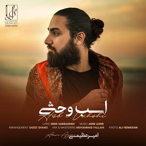 خواستگار وحشی اسب وحشی