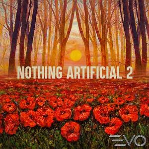 آلبوم موسیقی مناسب مطالعه  2 البوم nothing artificial 2 موسیقی مثبت پرانرژی امیدوار کننده اثری از cha...