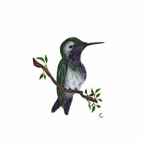 آلبوم موسیقی “The Eternal Return” اثری از “Irfan” البوم beyond the streets موسیقی داون تمپو اثری از alaskan tapes