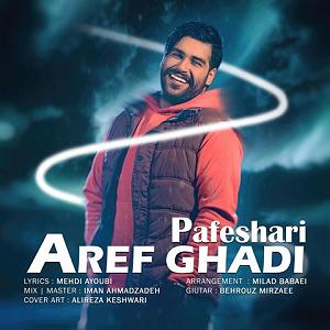 آلبوم آینه قدی پافشاری