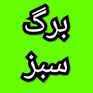 13 برنامه بستنی داغ  کمال در رفتار برگ سبز برنامه شماره ۱۳