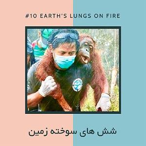 آجیل شب عید EP10  آجیل  شش های سوخته زمین