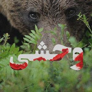 وحشی غریب وحشی