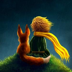 کتاب جادویی و دختر کوچولو فصل بیست و یکم کتاب زیبای شازده کوچولو