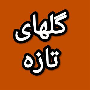 64 برنامه بستنی داغ  آثار صرفه جویی گلهای تازه برنامه شماره ۶۴