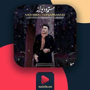 عروس دیوانه و خواستگار وحشی مستم و دیوانه