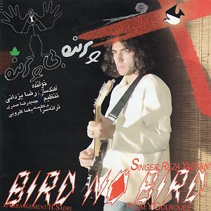 رضا یزدانی  وطن بی قرارم ٠٧ پرنده بی پرنده