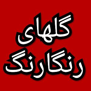 54 برنامه بستنی داغ  آثار توکل گلهای رنگارنگ برنامه شماره  ۵۴۷