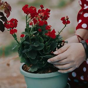 72 برنامه بستنی داغ  توقع در دنیای امروزی رادیو برفی شماره ی 2