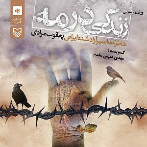 مهدی اعراف زندگی در مه