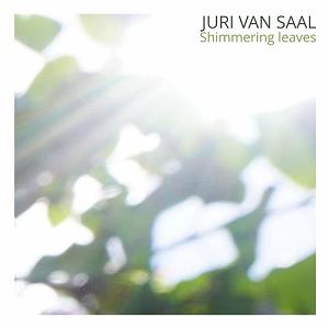 بهترین های گیتار راک  19731972 برگ های براق ، گیتار آرام و احساسی از یوری ون سال