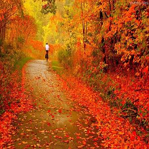 خوشحالی های الکی انفجاری ما را خدا ،از بهر چه آورد ؟ بهر شور و شر (غزل ۱۰۱۹) مولانای جان