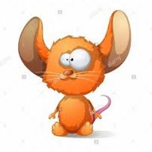 A.E.F 1 Big ear rat | موش گوش بزرگ