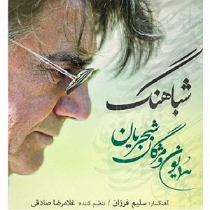 همایون شجریان و علی قمصری  محو تماشا شبا هنگ