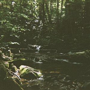 آلبوم موسیقی “The Eternal Return” اثری از “Irfan” موسیقی پیانو rest اثری برای ارامش و استراحت از the field tapes