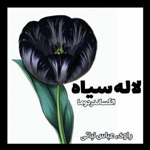 لاله لاله لاله ی سیاه