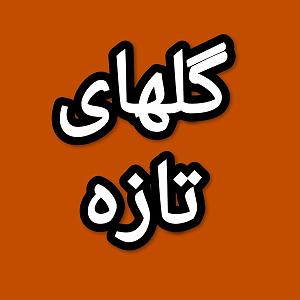 84 برنامه بستنی داغ   آثار حکمت گلهای تازه برنامه شماره ۸۴