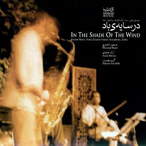 بهترین سه‌تار نوازی‌های مسعود شعاری در سایه ی باد