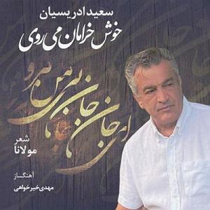 آلبوم ای جان جان بی من مرو خوش خرامان میروی