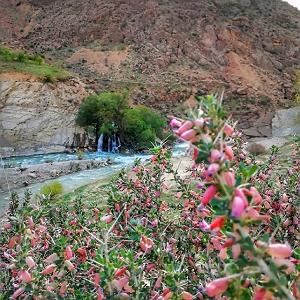 علیرضا قربانی  خانه آبی در کوی عشق علی رضا قربانی