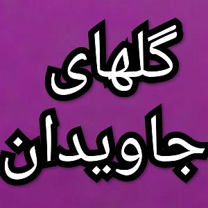 آلبوم شماره 3 اکسیژن شماره های 14 تا 20 اثر ژان میشل ژار (2016) گلهای جاویدان  برنامه شماره ۱۴۲