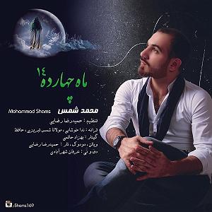 آلبوم 14 ماه 14