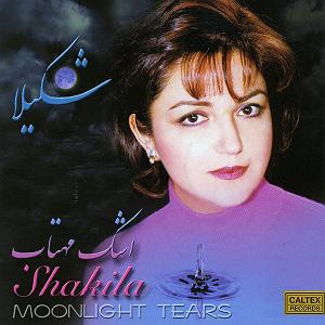 مونولوگ زیبای دل مجنون  دل مجنون