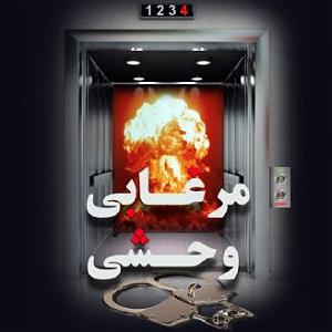 وحشی غریب مرغابی وحشی