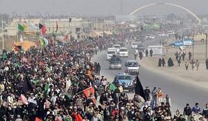 روباه گیاهخوار و آرزوی کلاغ سفر کرب و بلا ارزوی دل ما واحد تند