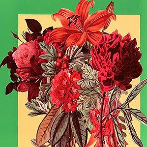 ترافیک خود را چگونه بگذرانیم فصل هفتم (چگونه خود را تغییر دهیم؟)