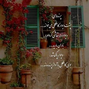 محمدرضا رهنما پای ثابت