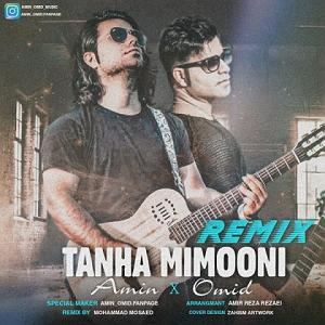 دانلود اهنگ جدید سلطه شاه و امین سایه به نام ساعت صفر تنها میمونی