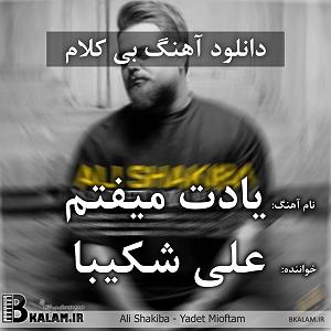 آلبوم دلم برات تنگ شده یادت میوفتم