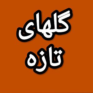 36 برنامه بستنی داغ  خشم پنهان گلهای تازه برنامه شماره ۳۶