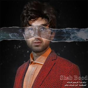 به باد دادم دل را – شب بود بیابان بود