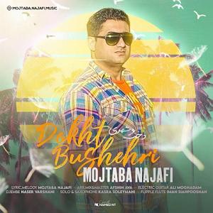 بوشهر دوخت بوشهری