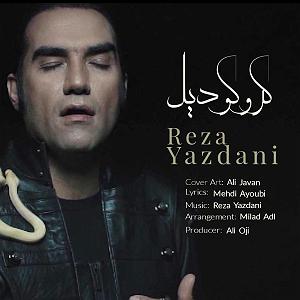 رضا یزدانی  سایه نشو کروکودیل