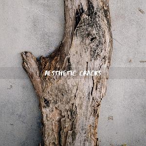 آندره تنه برگر aesthetic cracks
