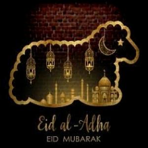 بندری بستکی شاد 1402 به مناسبت عید قربان