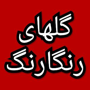 57 برنامه بستنی داغ  توکل در دنیای امروزی گلهای رنگارنگ برنامه شماره ۵۷۱