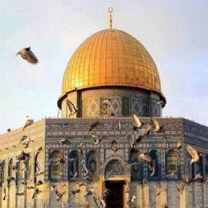قدس قدس از خون پاك تو طلوع مي كند