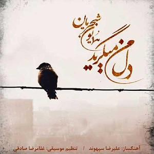 همیاون شجریان  هوای زمزمه هایت دل می‌گرید