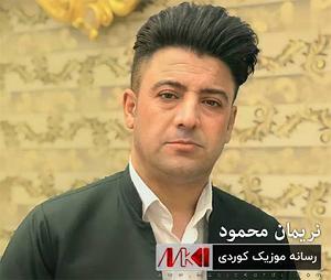 میناعلیزاده مینا گیان